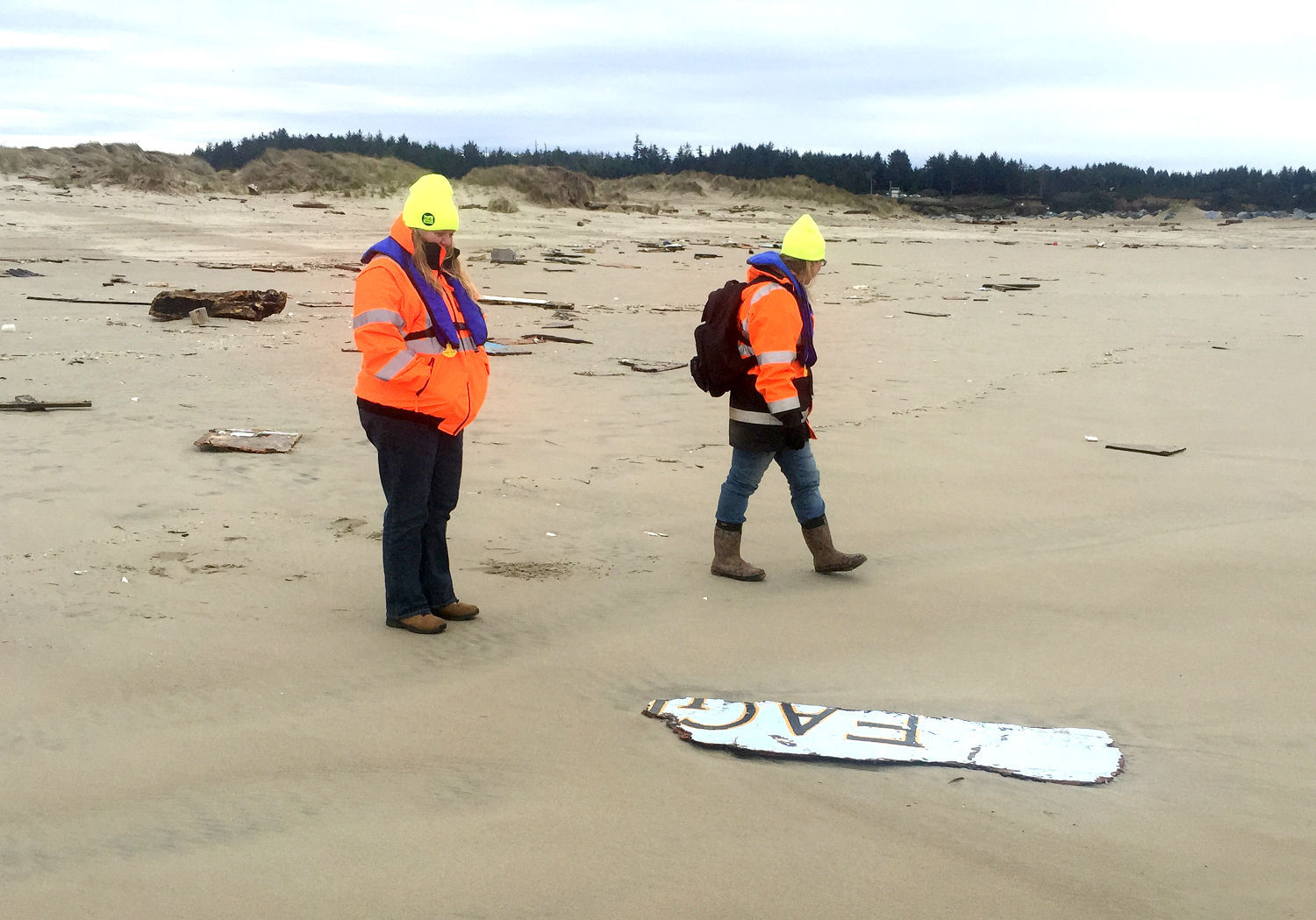 Search volunteers